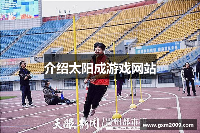 介绍太阳成游戏网站